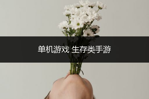 单机游戏 生存类手游