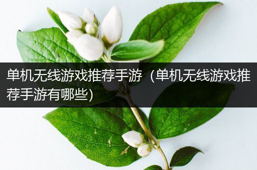 单机无线游戏推荐手游（单机无线游戏推荐手游有哪些）