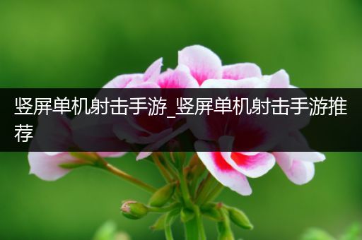 竖屏单机射击手游_竖屏单机射击手游推荐