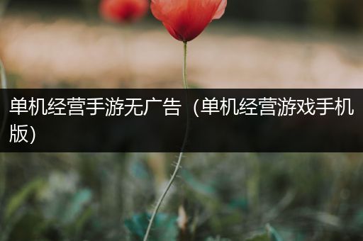 单机经营手游无广告（单机经营游戏手机版）