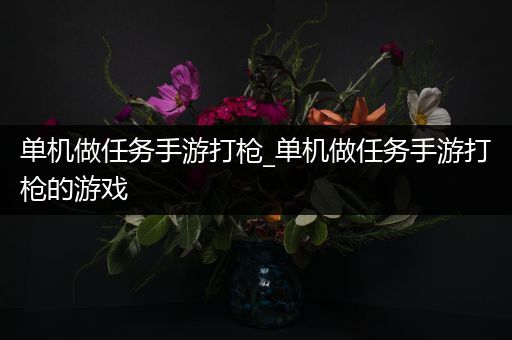 单机做任务手游打枪_单机做任务手游打枪的游戏