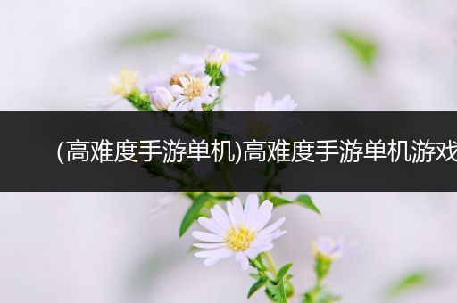 （高难度手游单机)高难度手游单机游戏