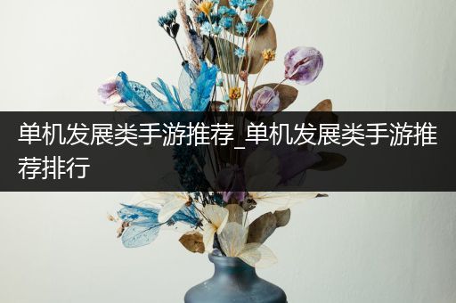 单机发展类手游推荐_单机发展类手游推荐排行