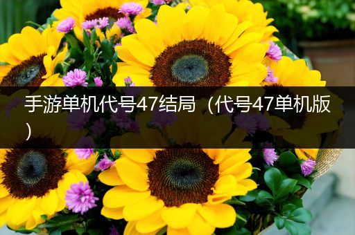 手游单机代号47结局（代号47单机版）