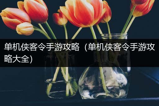 单机侠客令手游攻略（单机侠客令手游攻略大全）