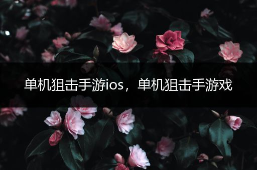 单机狙击手游ios，单机狙击手游戏