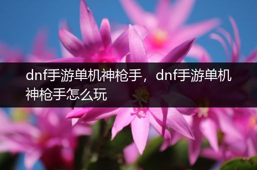 dnf手游单机神枪手，dnf手游单机神枪手怎么玩