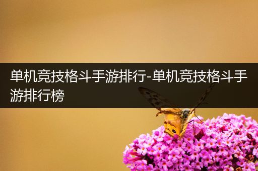 单机竞技格斗手游排行-单机竞技格斗手游排行榜