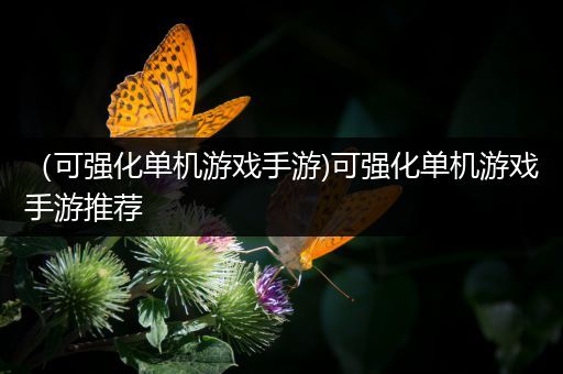 （可强化单机游戏手游)可强化单机游戏手游推荐