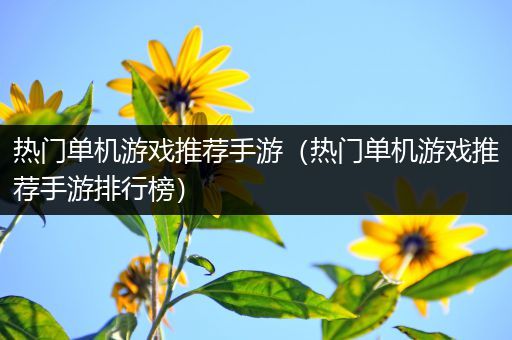 热门单机游戏推荐手游（热门单机游戏推荐手游排行榜）