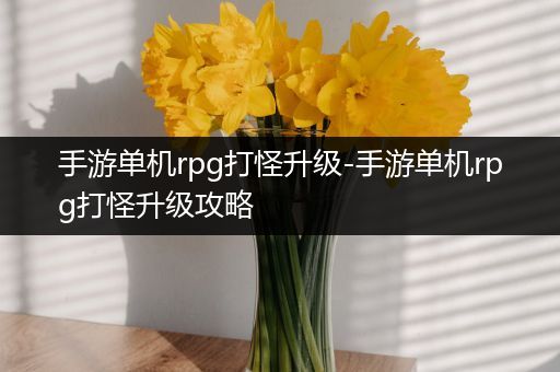 手游单机rpg打怪升级-手游单机rpg打怪升级攻略