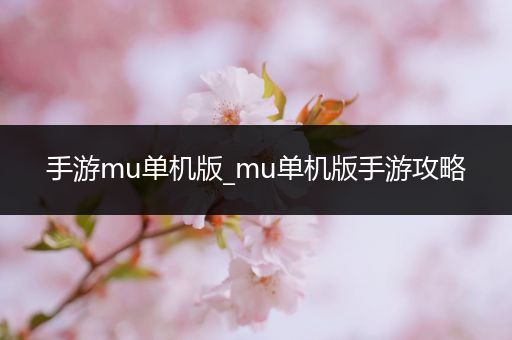 手游mu单机版_mu单机版手游攻略