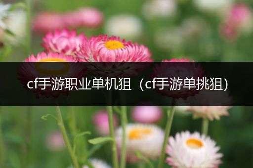 cf手游职业单机狙（cf手游单挑狙）