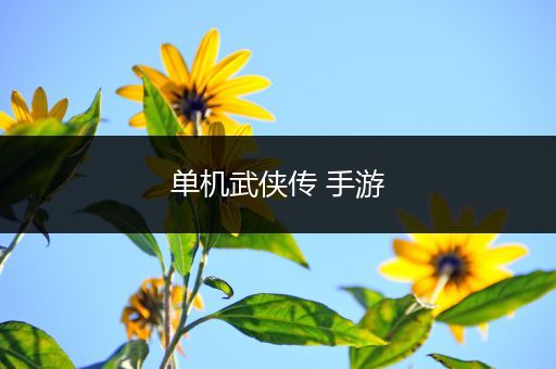 单机武侠传 手游