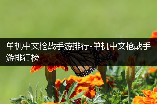 单机中文枪战手游排行-单机中文枪战手游排行榜