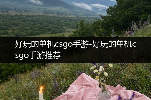 好玩的单机csgo手游-好玩的单机csgo手游推荐