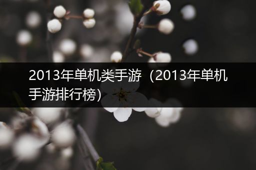 2013年单机类手游（2013年单机手游排行榜）