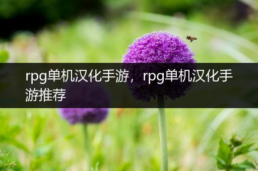 rpg单机汉化手游，rpg单机汉化手游推荐