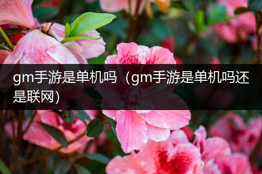 gm手游是单机吗（gm手游是单机吗还是联网）