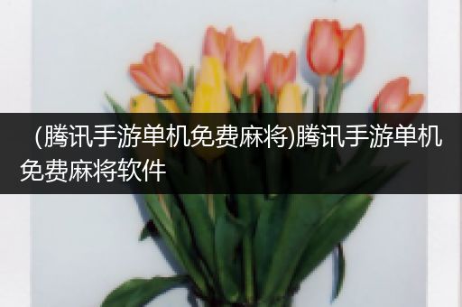 （腾讯手游单机免费麻将)腾讯手游单机免费麻将软件