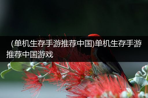 （单机生存手游推荐中国)单机生存手游推荐中国游戏