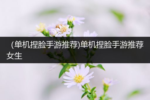 （单机捏脸手游推荐)单机捏脸手游推荐女生