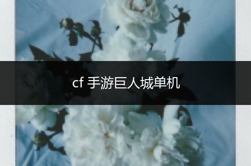 cf 手游巨人城单机