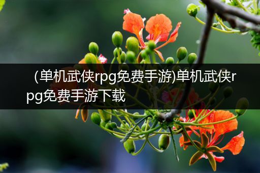 （单机武侠rpg免费手游)单机武侠rpg免费手游下载