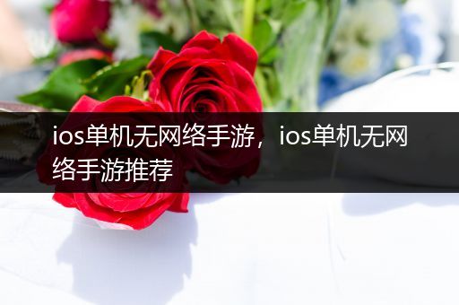 ios单机无网络手游，ios单机无网络手游推荐