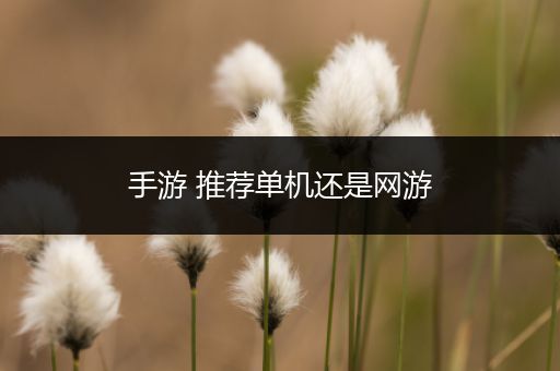 手游 推荐单机还是网游