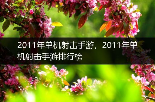 2011年单机射击手游，2011年单机射击手游排行榜