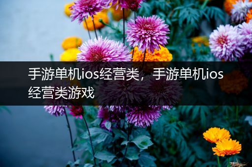 手游单机ios经营类，手游单机ios经营类游戏