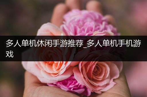 多人单机休闲手游推荐_多人单机手机游戏