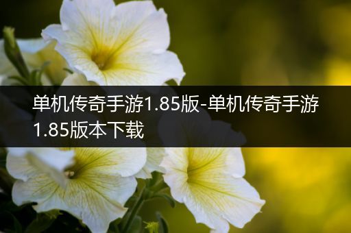 单机传奇手游1.85版-单机传奇手游1.85版本下载