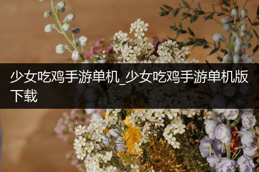 少女吃鸡手游单机_少女吃鸡手游单机版下载