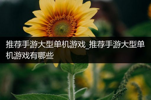 推荐手游大型单机游戏_推荐手游大型单机游戏有哪些