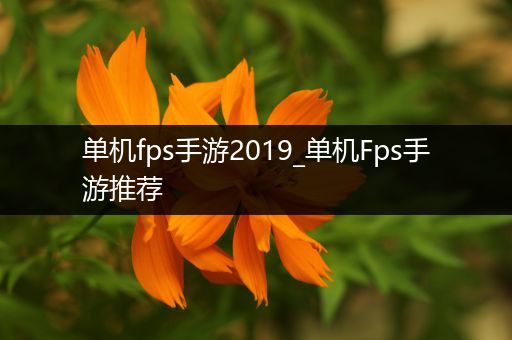 单机fps手游2019_单机Fps手游推荐