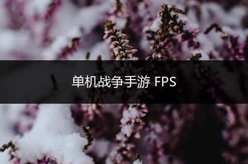 单机战争手游 FPS