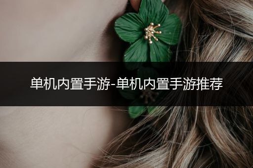 单机内置手游-单机内置手游推荐