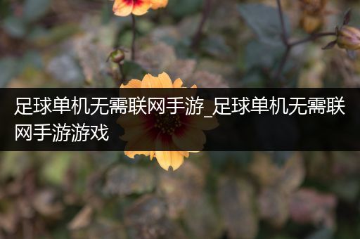 足球单机无需联网手游_足球单机无需联网手游游戏