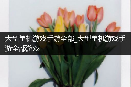 大型单机游戏手游全部_大型单机游戏手游全部游戏