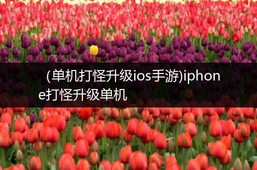 （单机打怪升级ios手游)iphone打怪升级单机