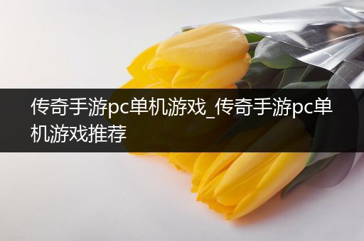 传奇手游pc单机游戏_传奇手游pc单机游戏推荐