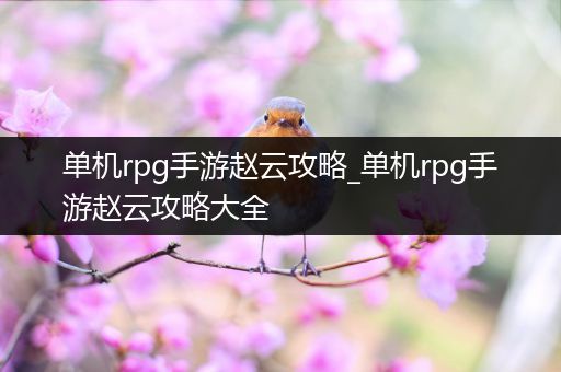 单机rpg手游赵云攻略_单机rpg手游赵云攻略大全