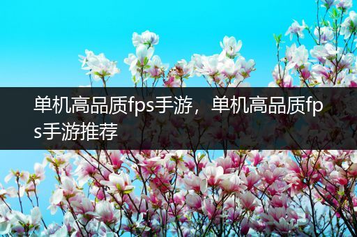 单机高品质fps手游，单机高品质fps手游推荐