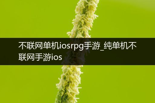 不联网单机iosrpg手游_纯单机不联网手游ios