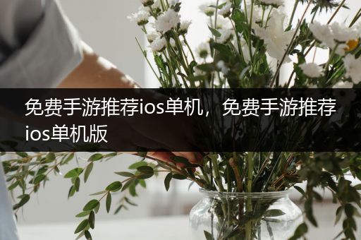 免费手游推荐ios单机，免费手游推荐ios单机版