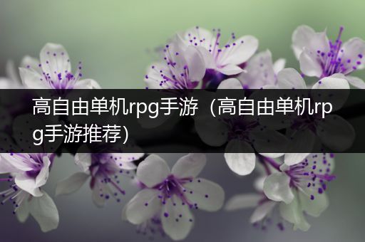 高自由单机rpg手游（高自由单机rpg手游推荐）