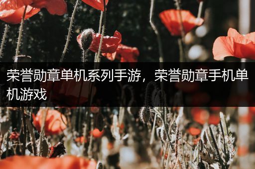 荣誉勋章单机系列手游，荣誉勋章手机单机游戏