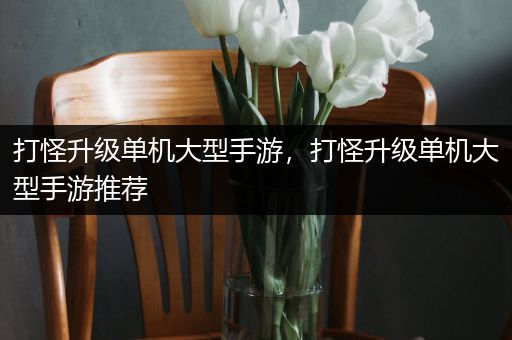 打怪升级单机大型手游，打怪升级单机大型手游推荐